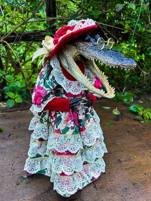 Ada — An antique porcelain doll with a New Orleans alligator skull and alligator hands.