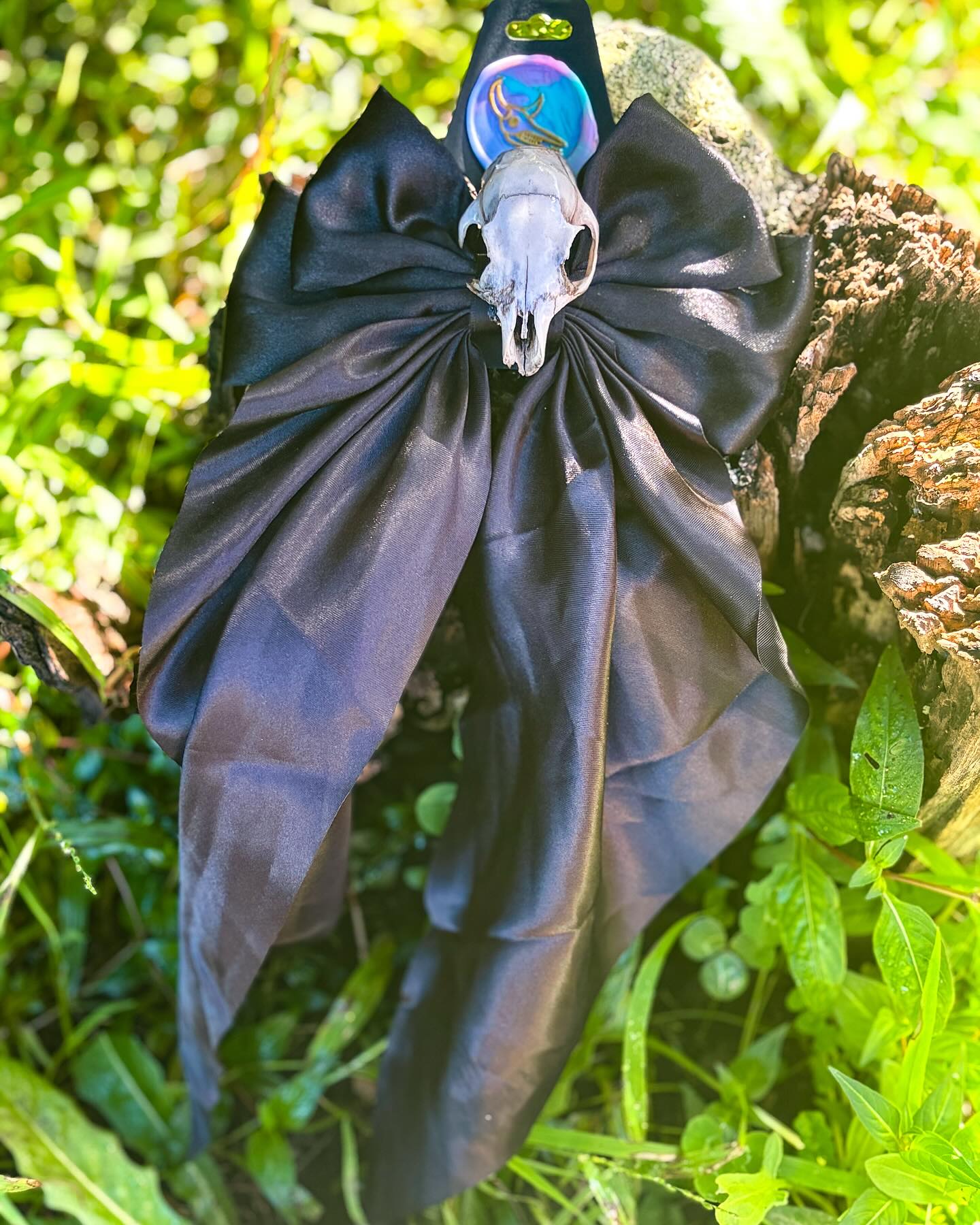 BB — Big bow with Meerkat skull.