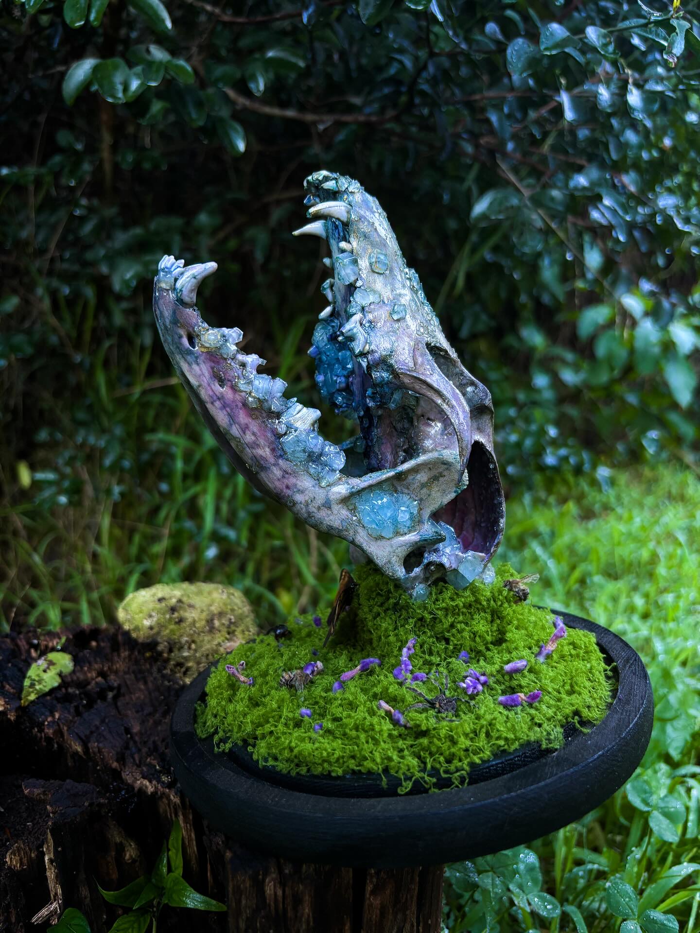Gaia — Large dome with crystallised jackal skull and mandible, sage, a butterfly, a beetle and a bee.